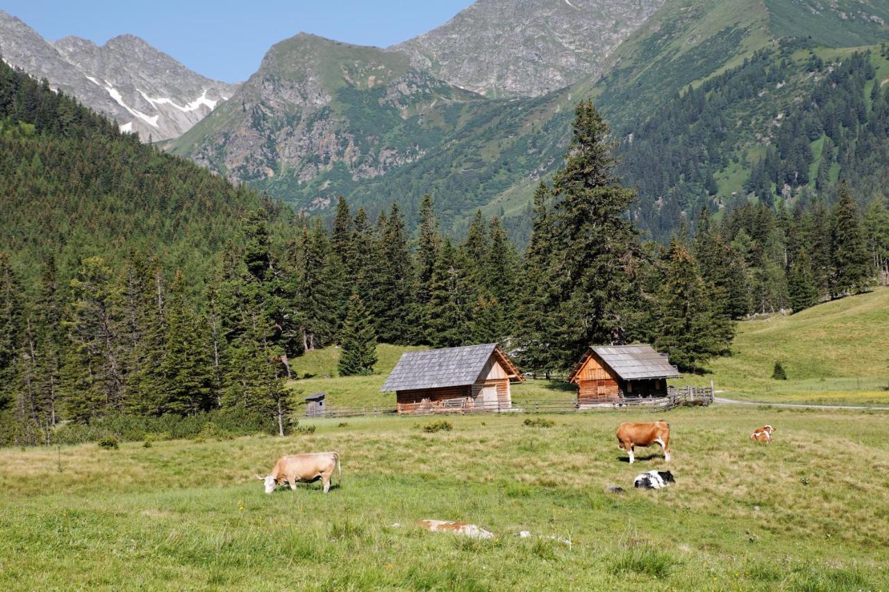 Alpenhotel & Aparthotel Lanz Hohentauern Exteriér fotografie
